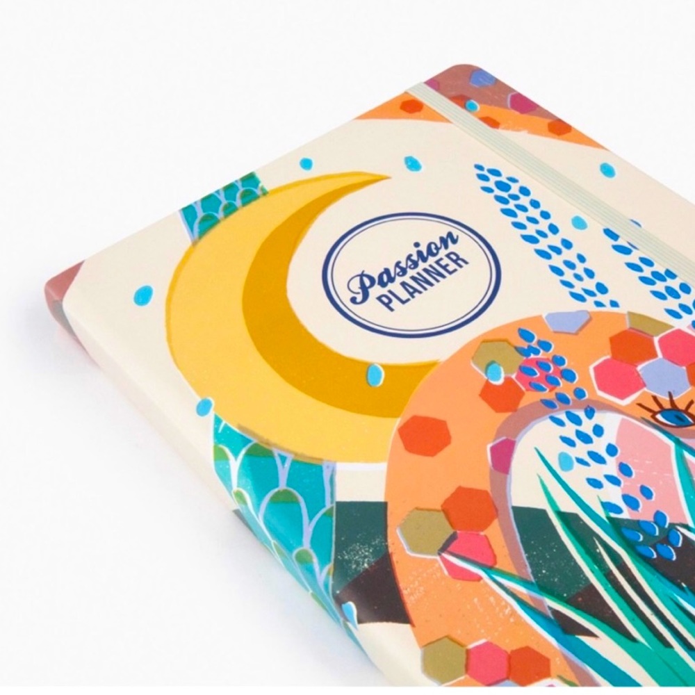 Passion Planner 2021 Weekly Annual Size Medium. Serpent Spring